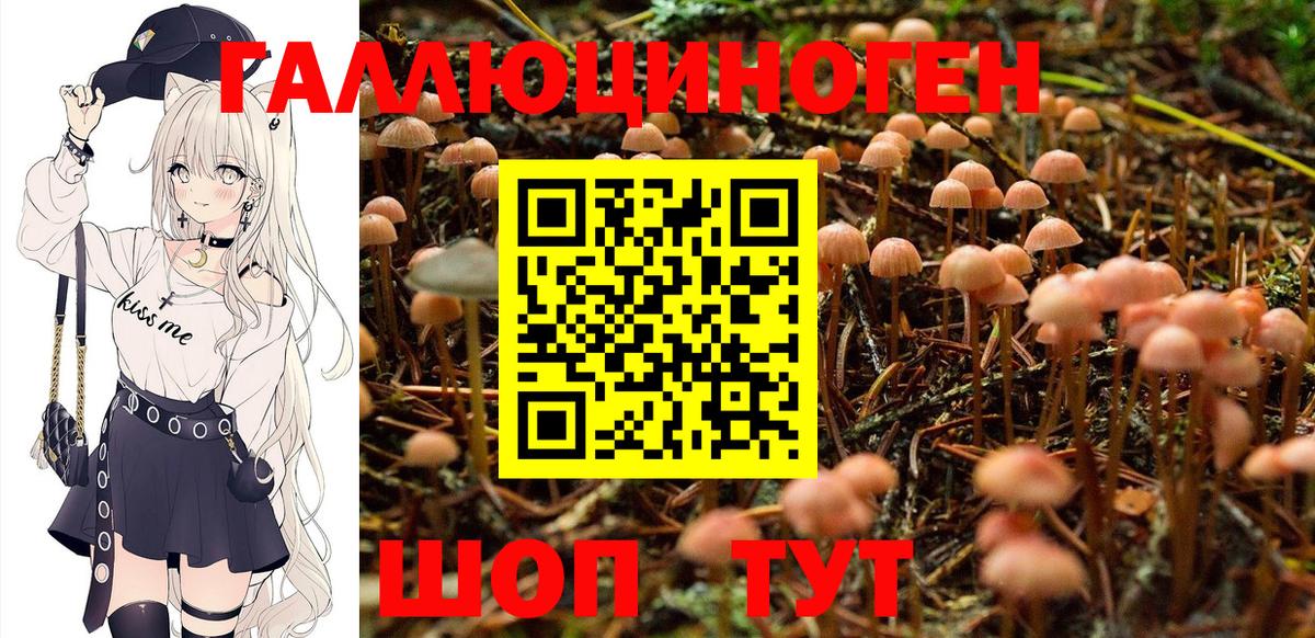 Галлюциногенные грибы Magic Shrooms  наркота  Тимашёвск  Вход с VPN 